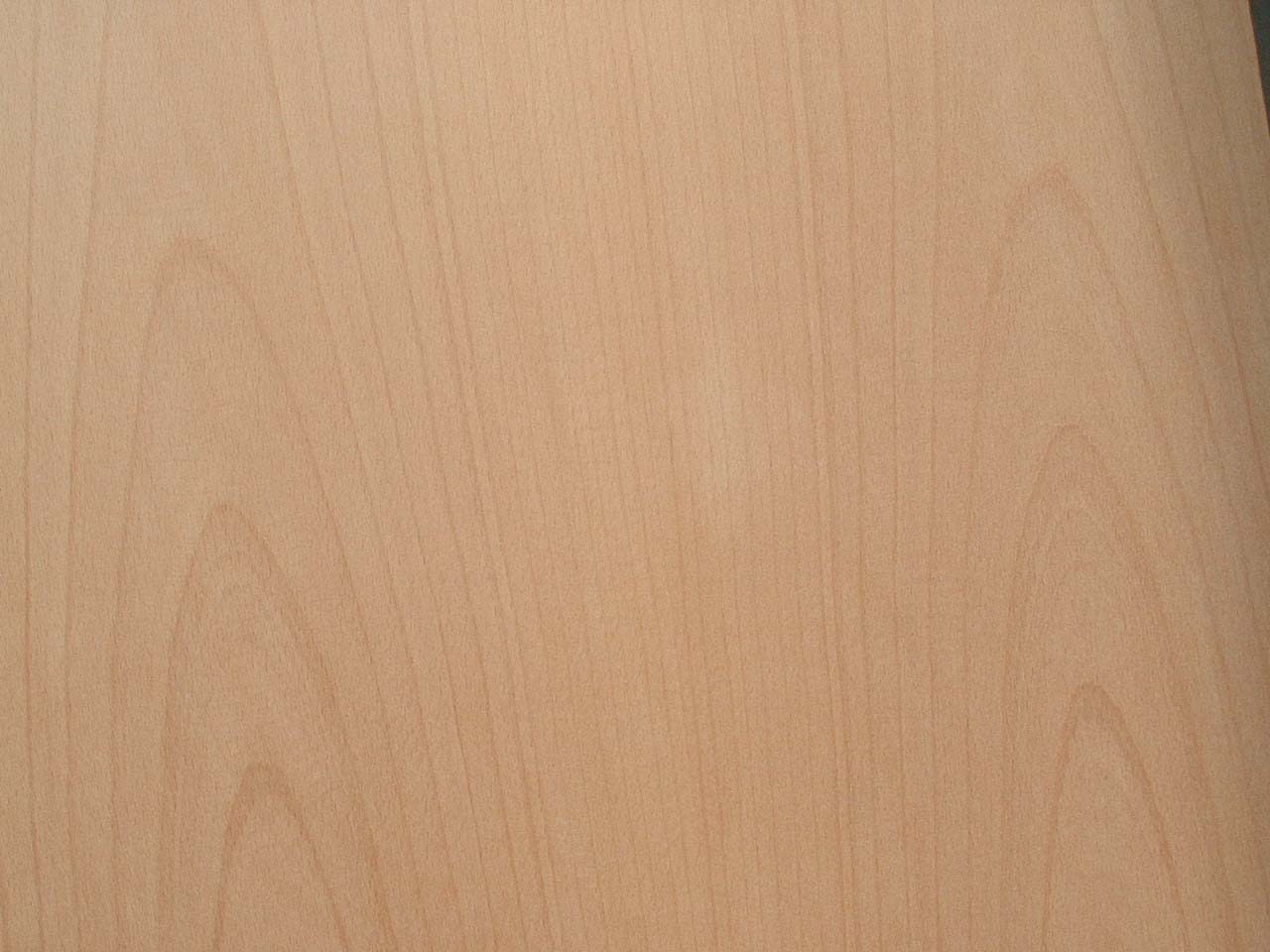 beech wood veneer